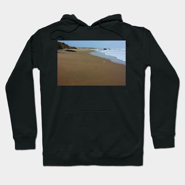 Myspace Dot Earth. Panther Beach, California 2012 Hoodie by IgorPozdnyakov